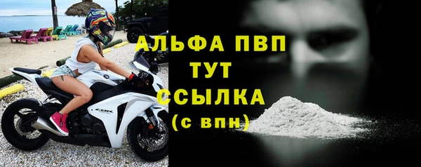 молекула духа Ельня