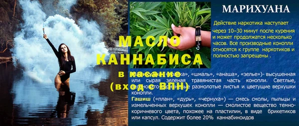 дмт Дмитров