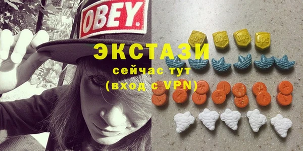 индика Дмитровск