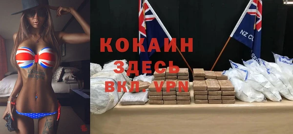 индика Дмитровск