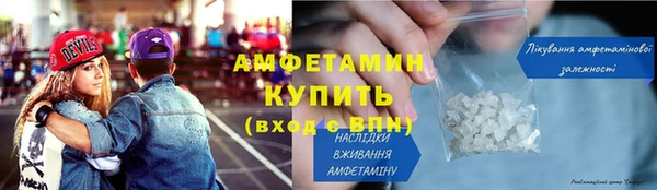 индика Дмитровск