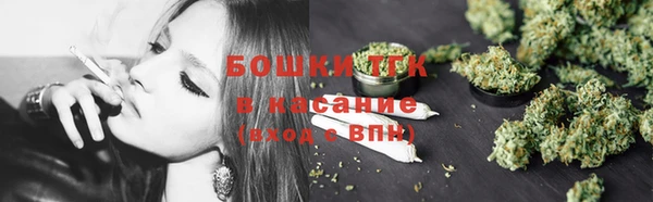 индика Дмитровск
