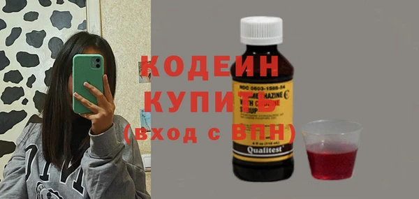 дмт Дмитров