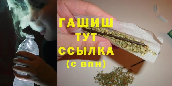 индика Дмитровск