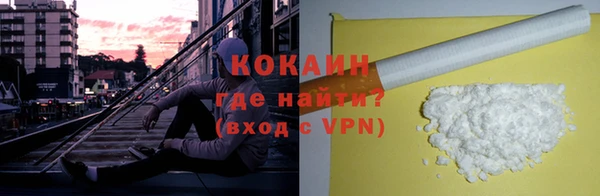 дмт Дмитров