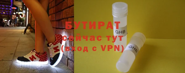 индика Дмитровск