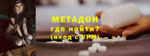 индика Дмитровск