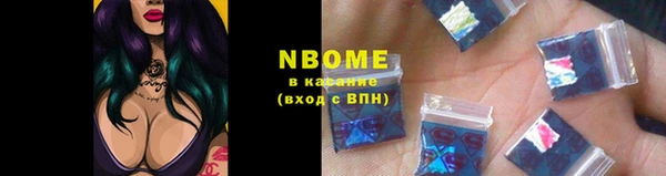 индика Дмитровск