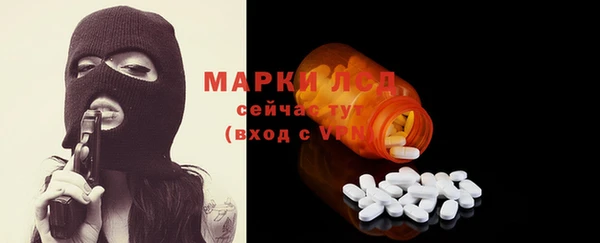 индика Дмитровск