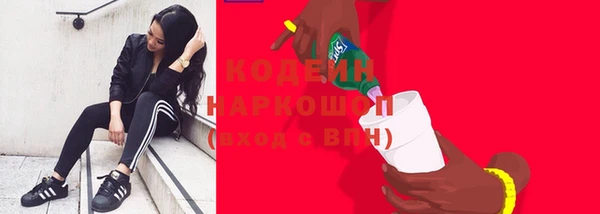 индика Дмитровск