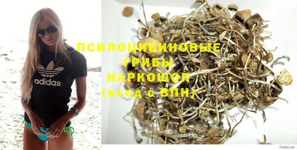 индика Дмитровск