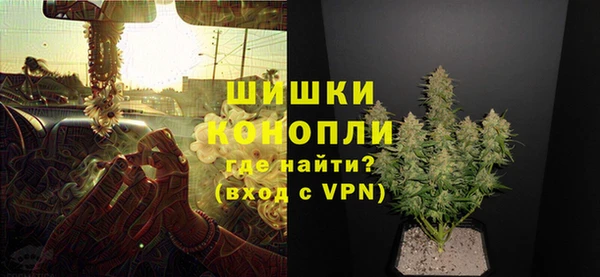 дмт Дмитров