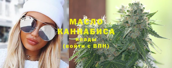 дмт Дмитров