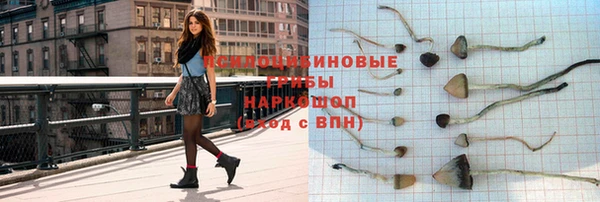 индика Дмитровск