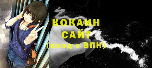 дмт Дмитров