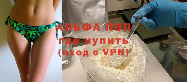 индика Дмитровск