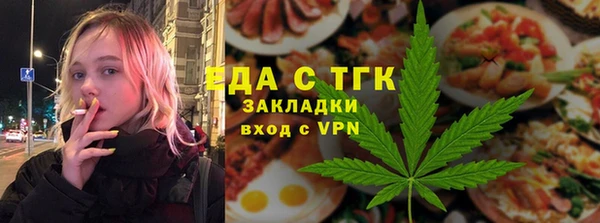 индика Дмитровск