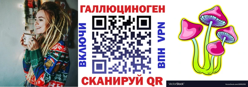 Галлюциногенные грибы Psilocybe  Свирск 